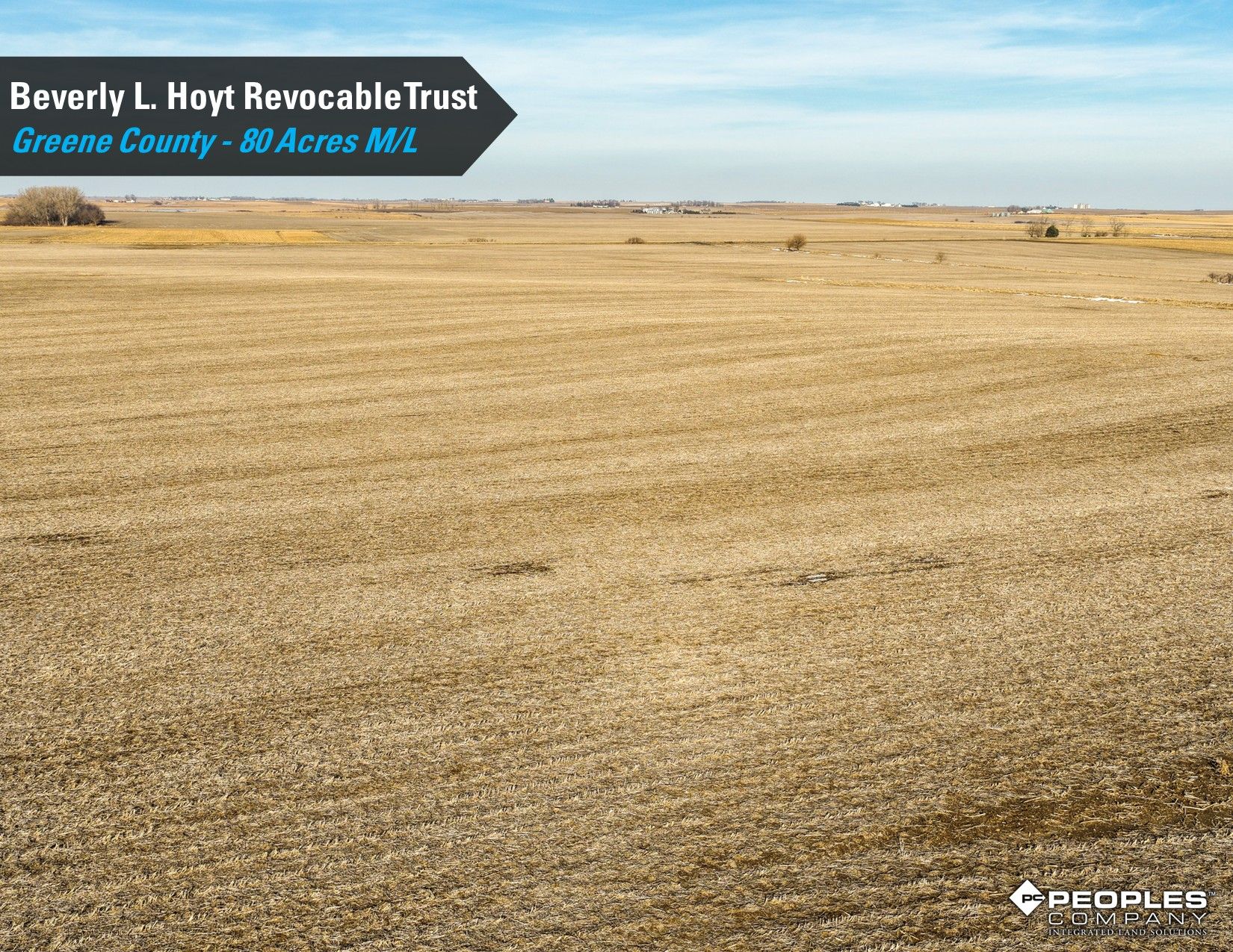 Listing Photo: Hoyt-Trust-Greene-County-Iowa-80Acres-Scranton-18837 (10)